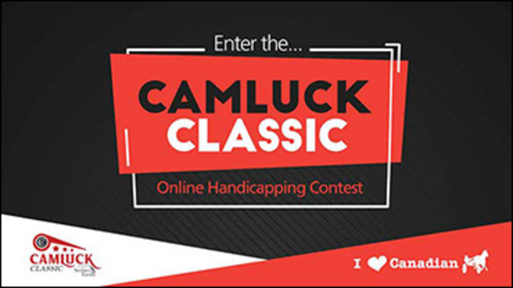 Camluck-Classic-Web-Banner-370px.jpg