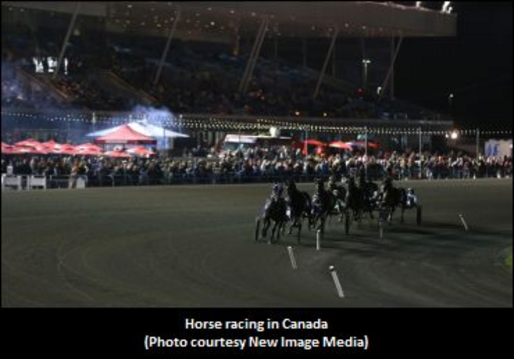 CanadianHorseRacing-370.jpg