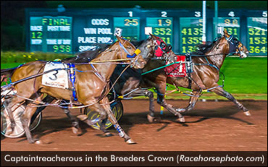 Captaintreacherous-BreedersCrown-Racehorsephoto-ed.jpg