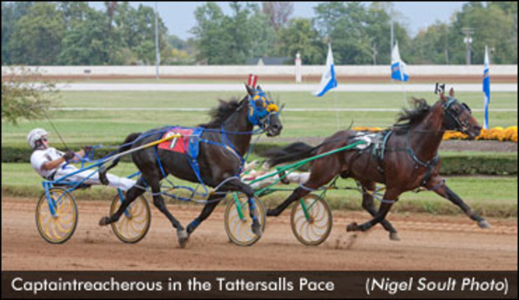 Captaintreacherous-Tattersalls-NigelSoult-ed.jpg