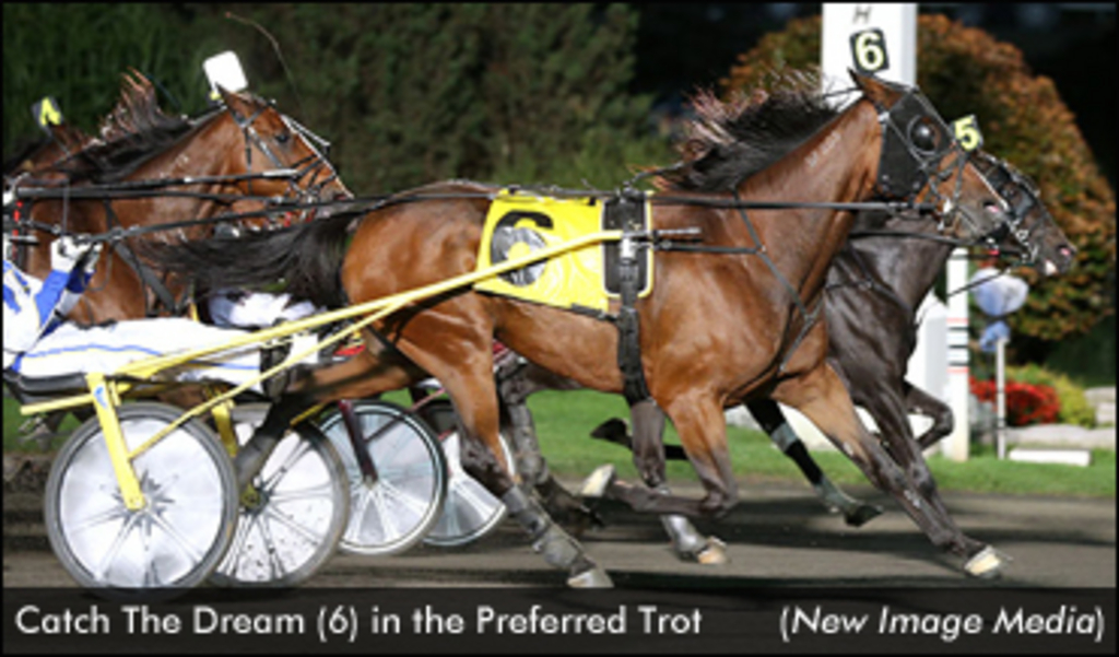 CatchTheDream-Preferred-100915-NewImageMedia-edit.jpg