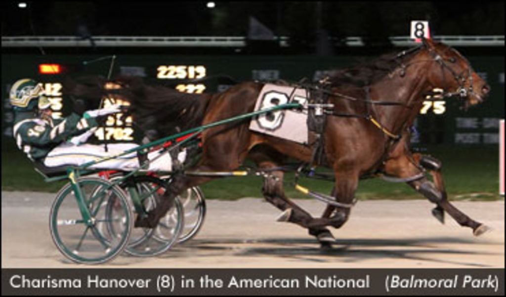 CharismaHanover-AmNat-Balmoral-ed.jpg