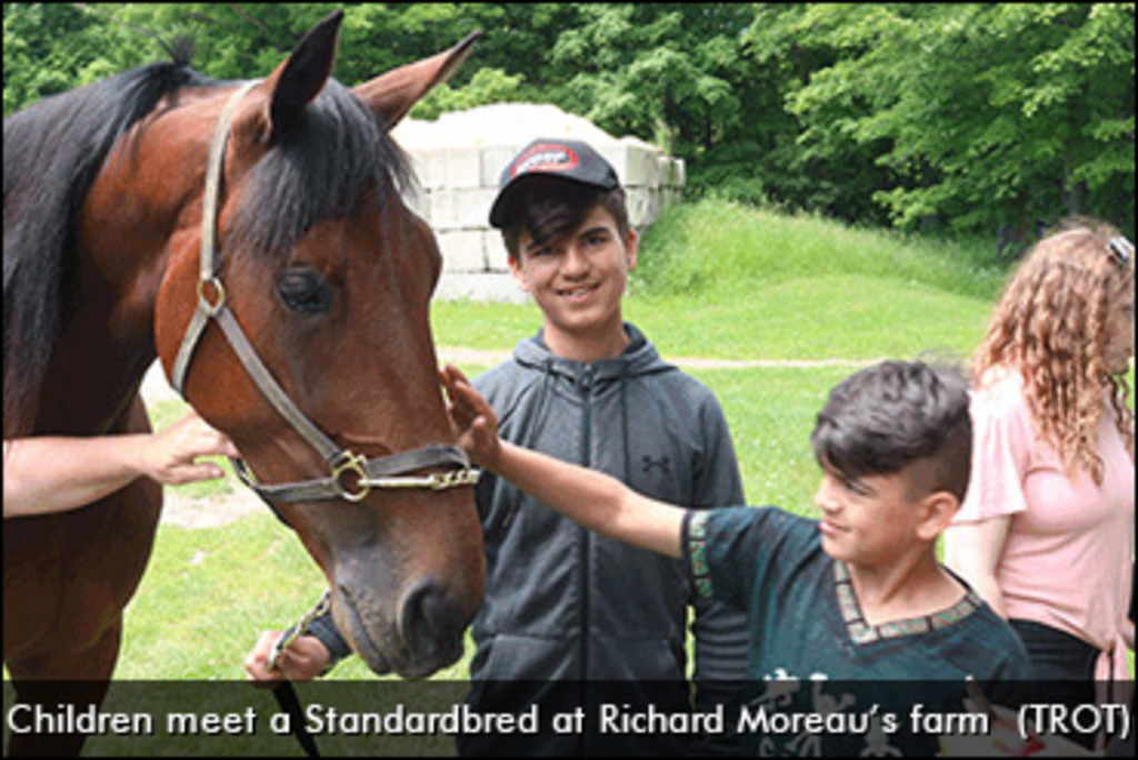 Children-meet-Standardbred-Moreau-370px.jpg