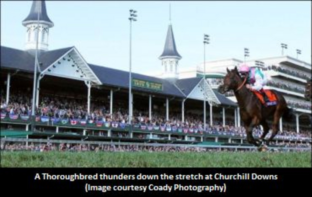 ChurchillDowns-370-01-.jpg