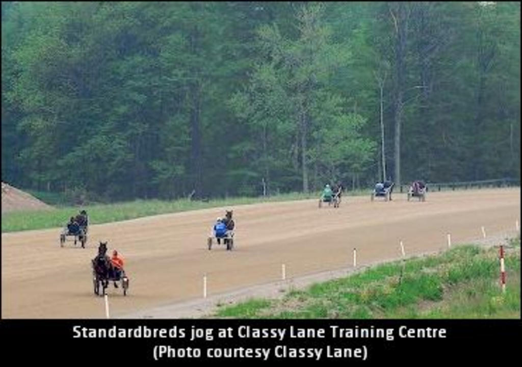 ClassyLaneTrainingCentre01.jpg