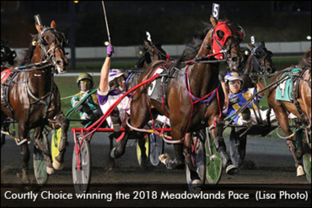 Courtly Choice To The Cane | Standardbred Canada