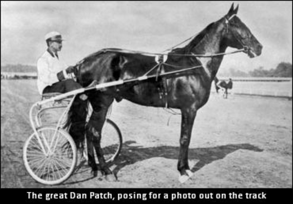 DanPatch01.jpg