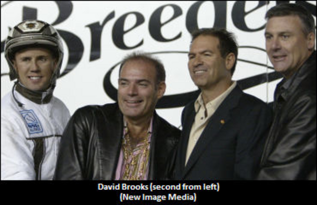 David-Brooks-06.jpg