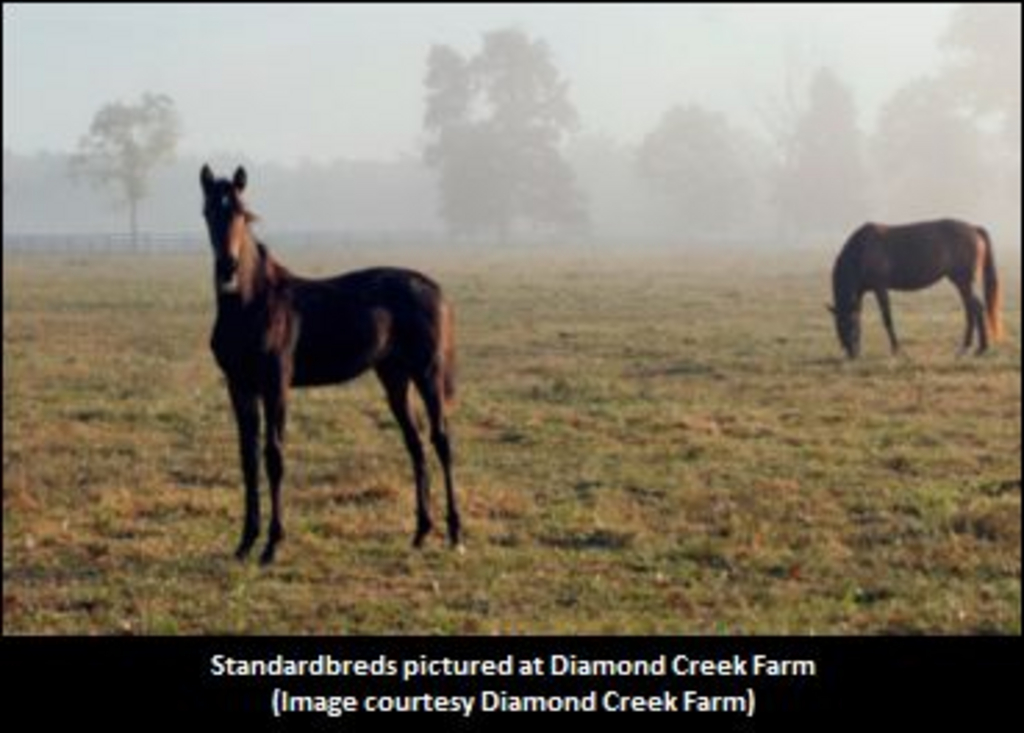 DiamondCreekFarm01.jpg