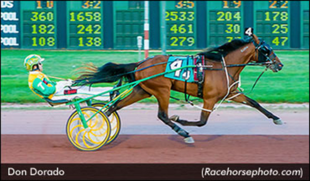 DonDorado-Racehorsephotocom-ed.jpg