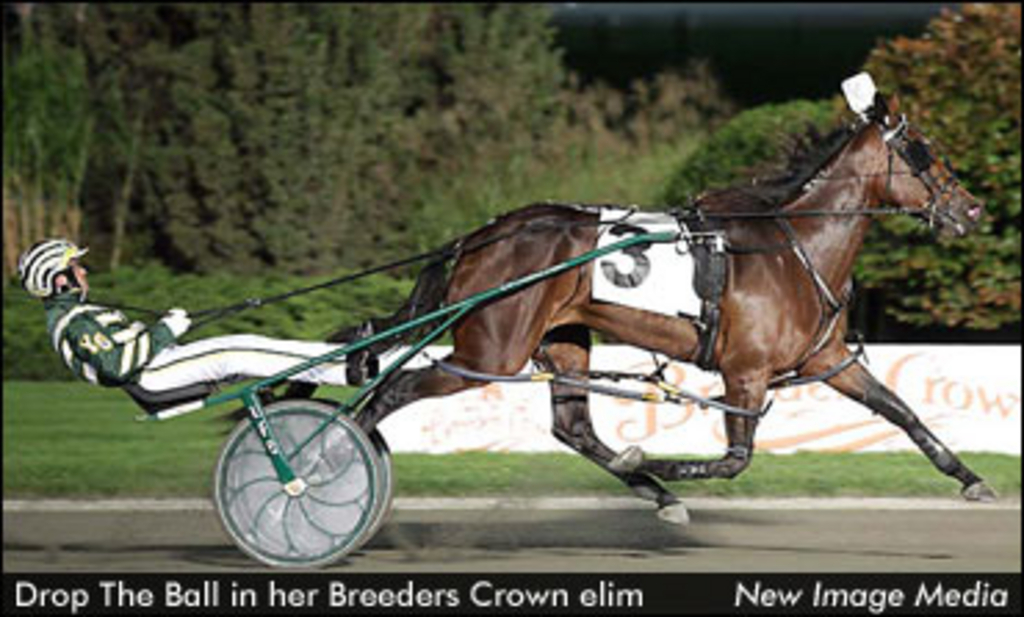 Breeders Crown Elims Complete | Standardbred Canada