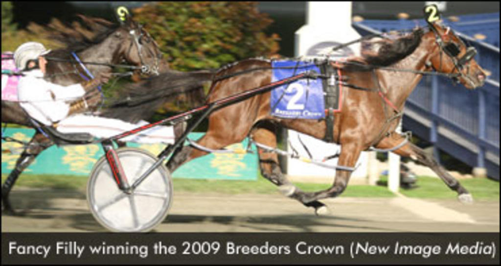 FancyFillyBreedersCrown-edit.jpg