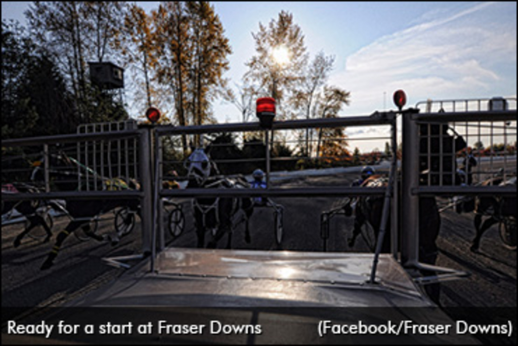 Fraser-Downs-Gate-370.jpg
