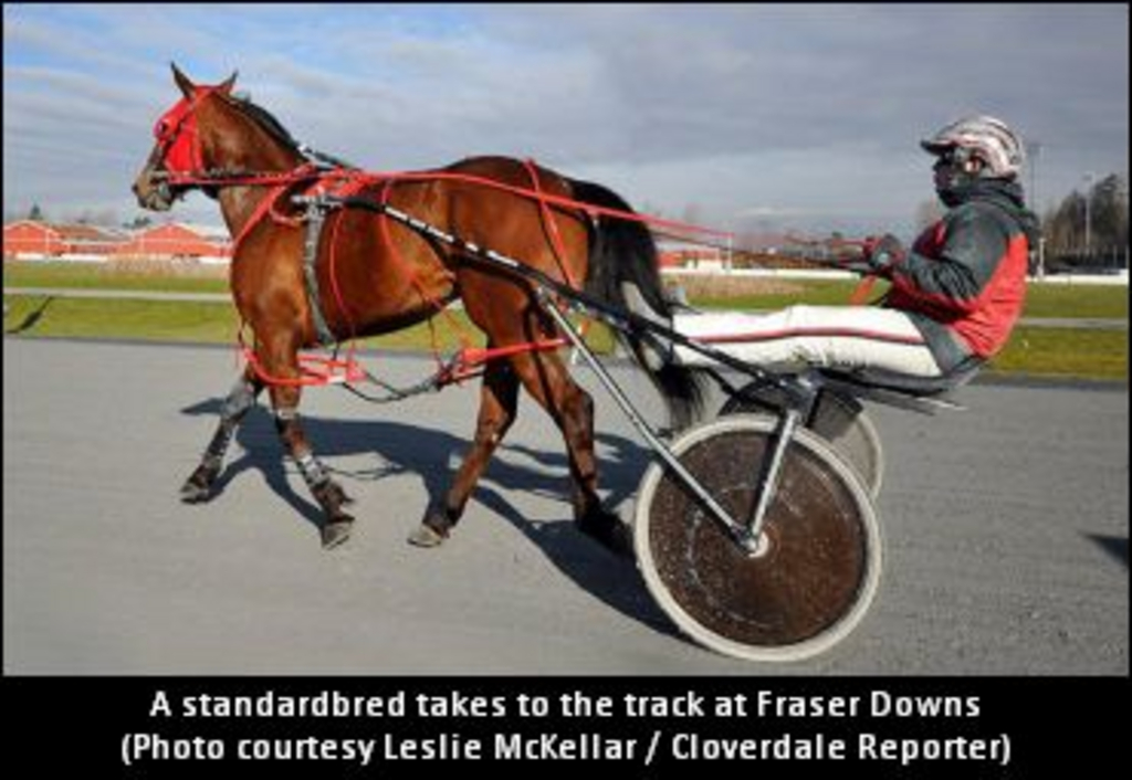 FraserDowns02.jpg