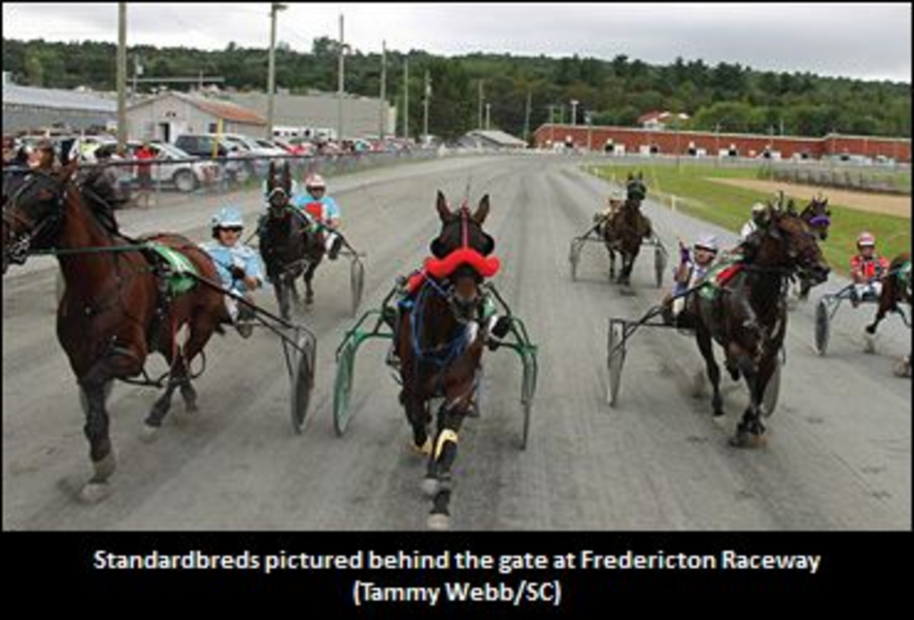 FrederictonRaceway-370-01-.jpg