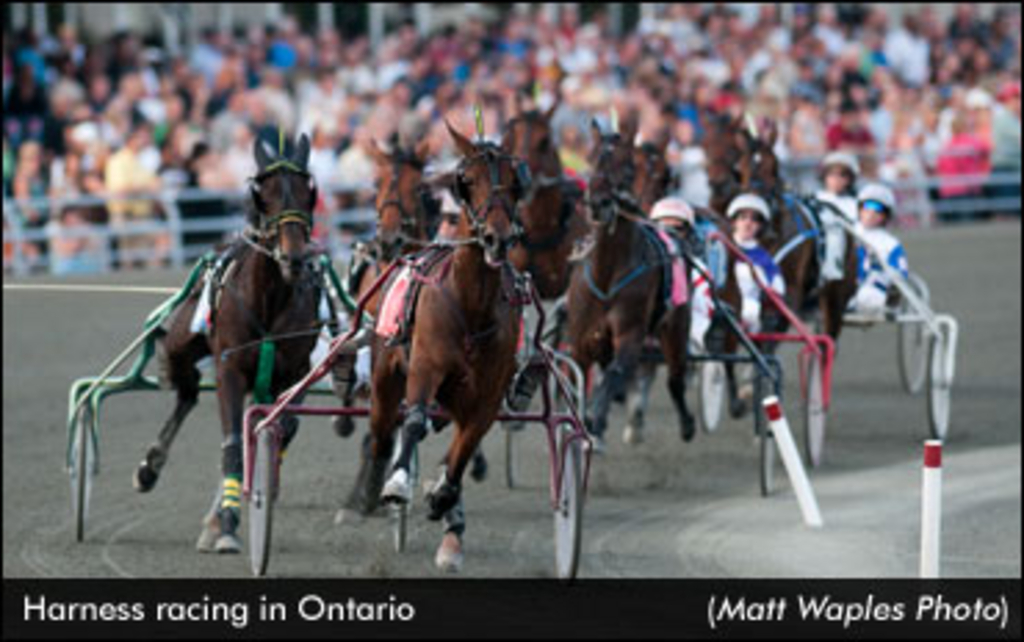 GeneralOntarioRacing.jpg