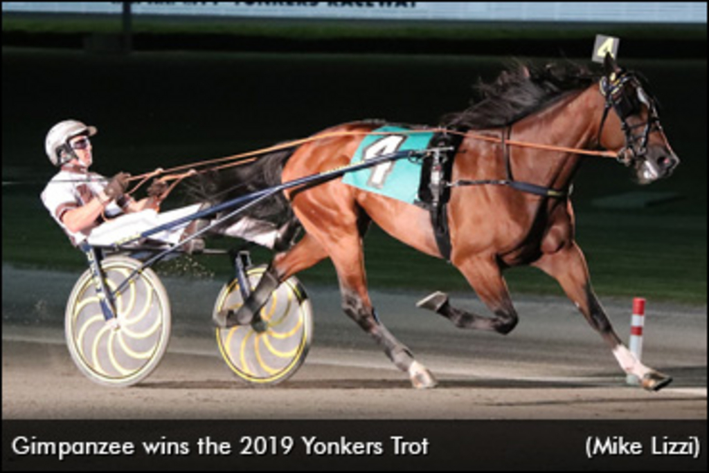 Gimpanzee-Yonkers-Trot-370px.jpg