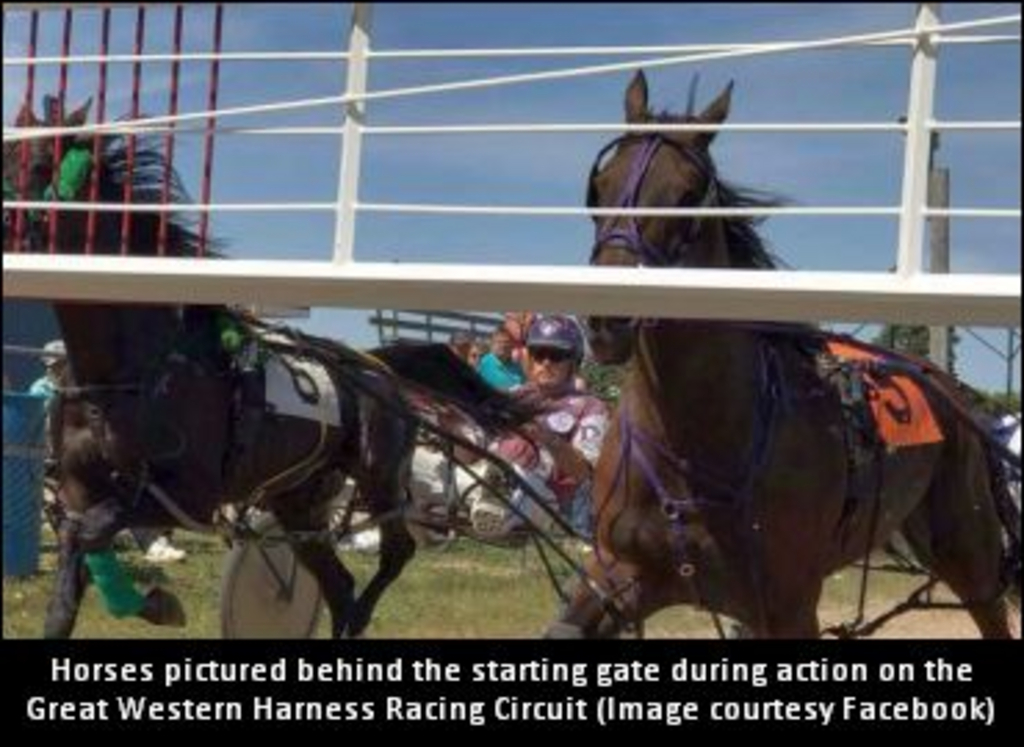 GreatWesternHarnessRacingCircuit01.jpg