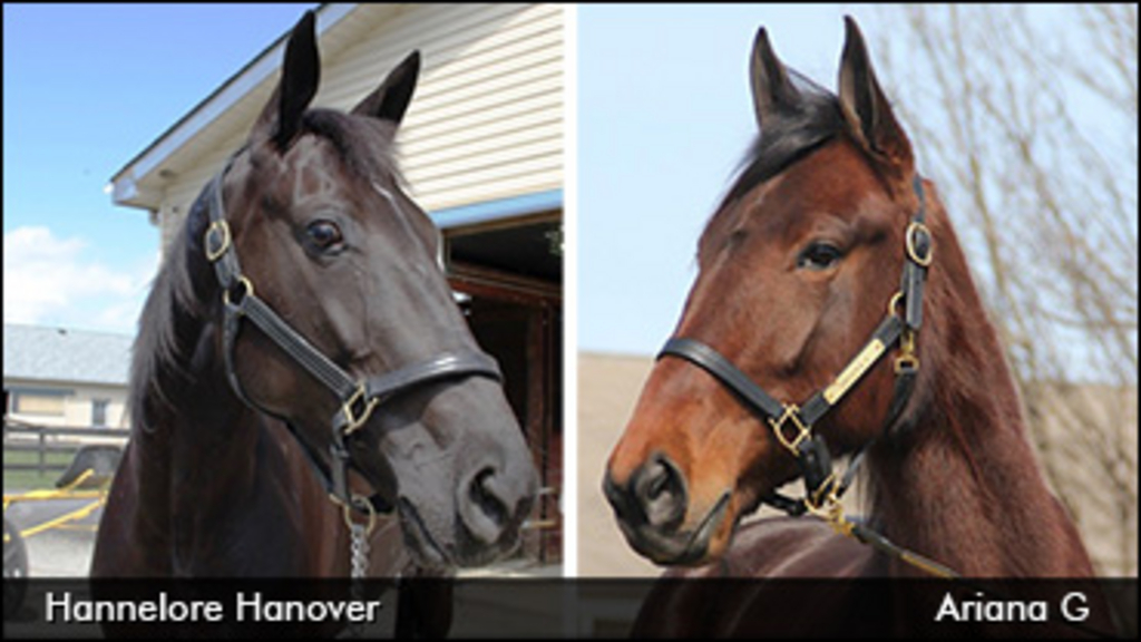 Hannelore-Hanover-Ariana-G-370px.jpg