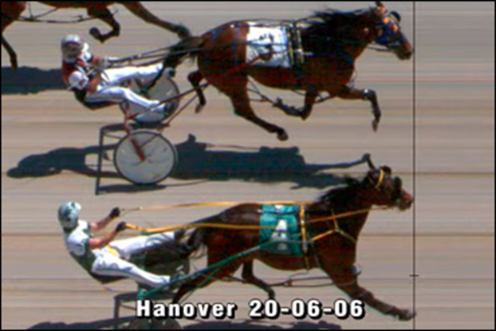 Hanover-June6-Dead-Heat-370px.jpg