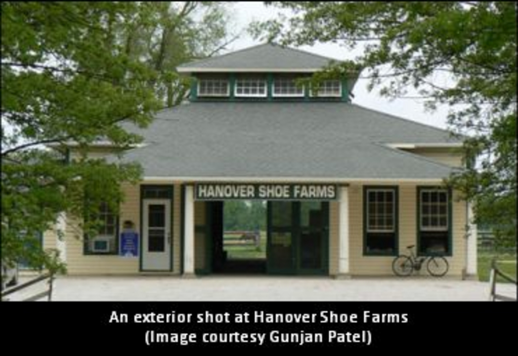 HanoverShoeFarms01.jpg