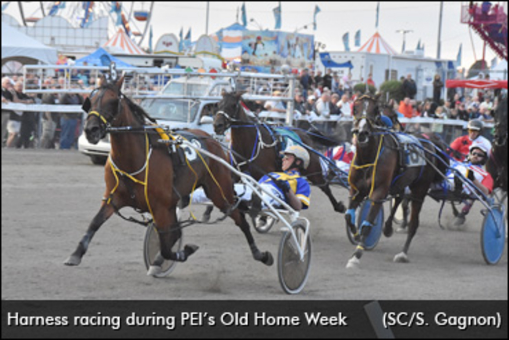 Harness-Racing-Old-Home-Week-370px.jpg