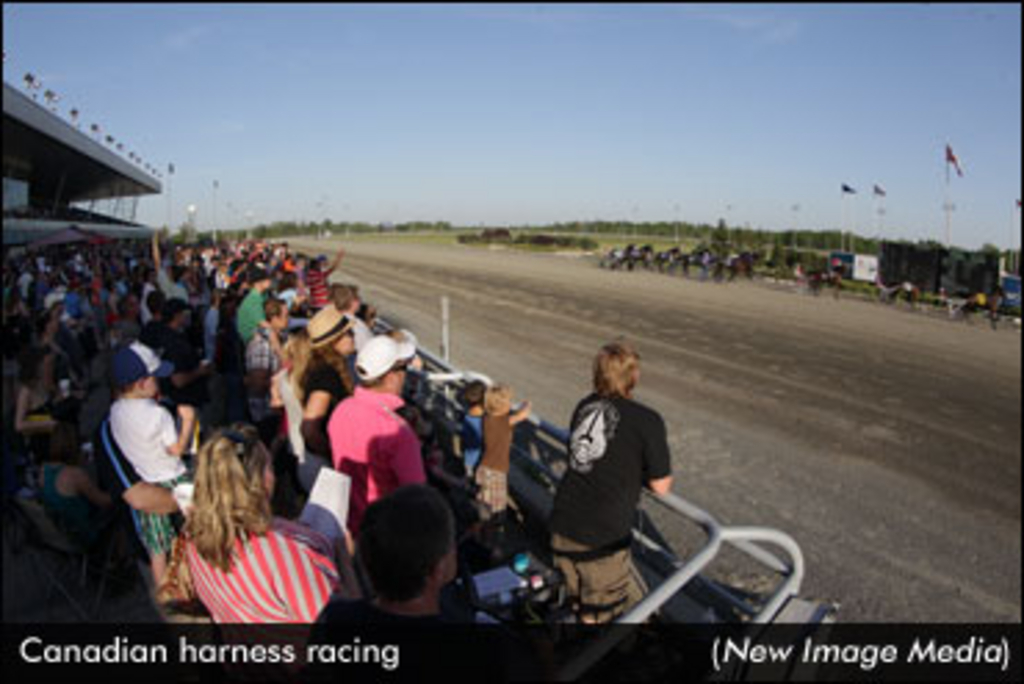 Harness-Racing-in-Canada.jpg
