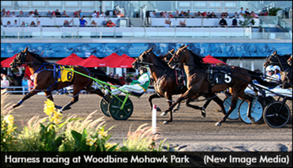 Woodbine Releases 2022 Stakes Schedule | Standardbred Canada