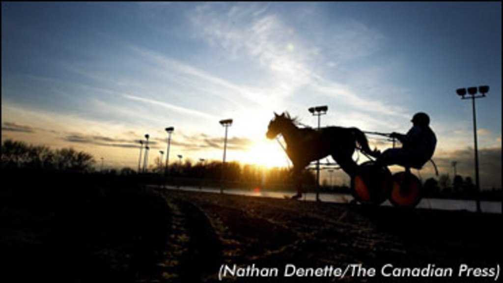 HarnessRacing-edit.jpg