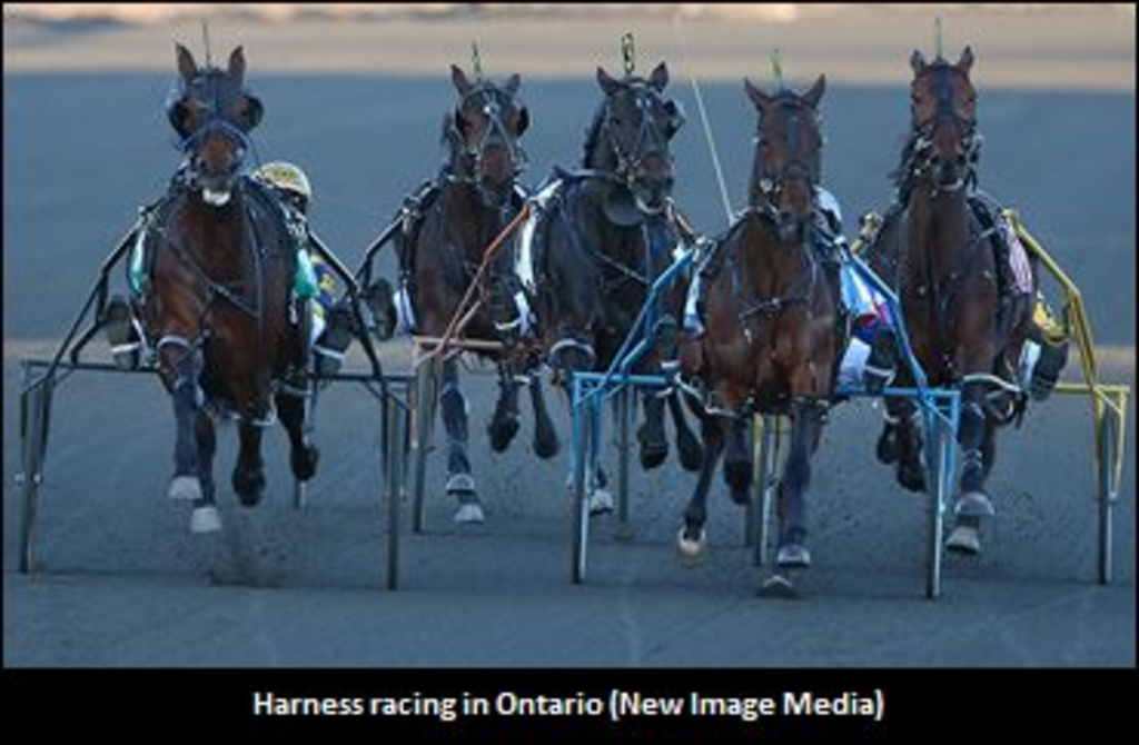 HarnessRacingOntarioGeneral-370.jpg