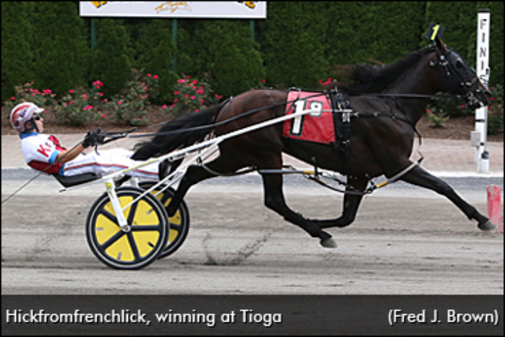 Hickfromfrenchlick-Tioga-370px.jpg