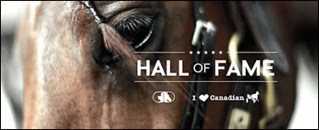 HoF-Banner-(370px).jpg