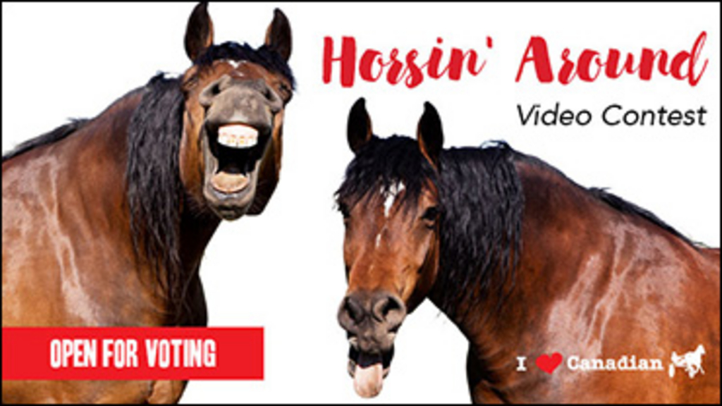 Horsin-Around-Voting-Open-370x208.jpg