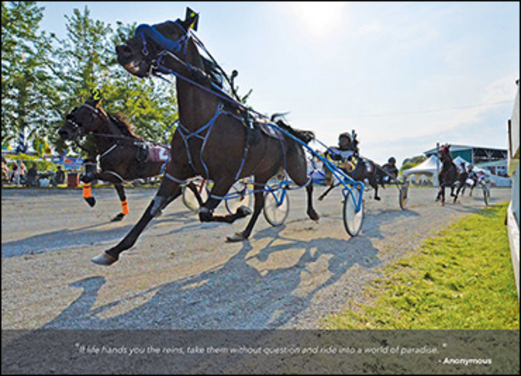 ILCHR-Calendar-August-2018-370px.jpg