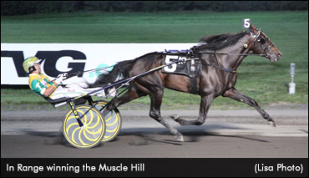 In Range To Stand Stud In 2022 | Standardbred Canada