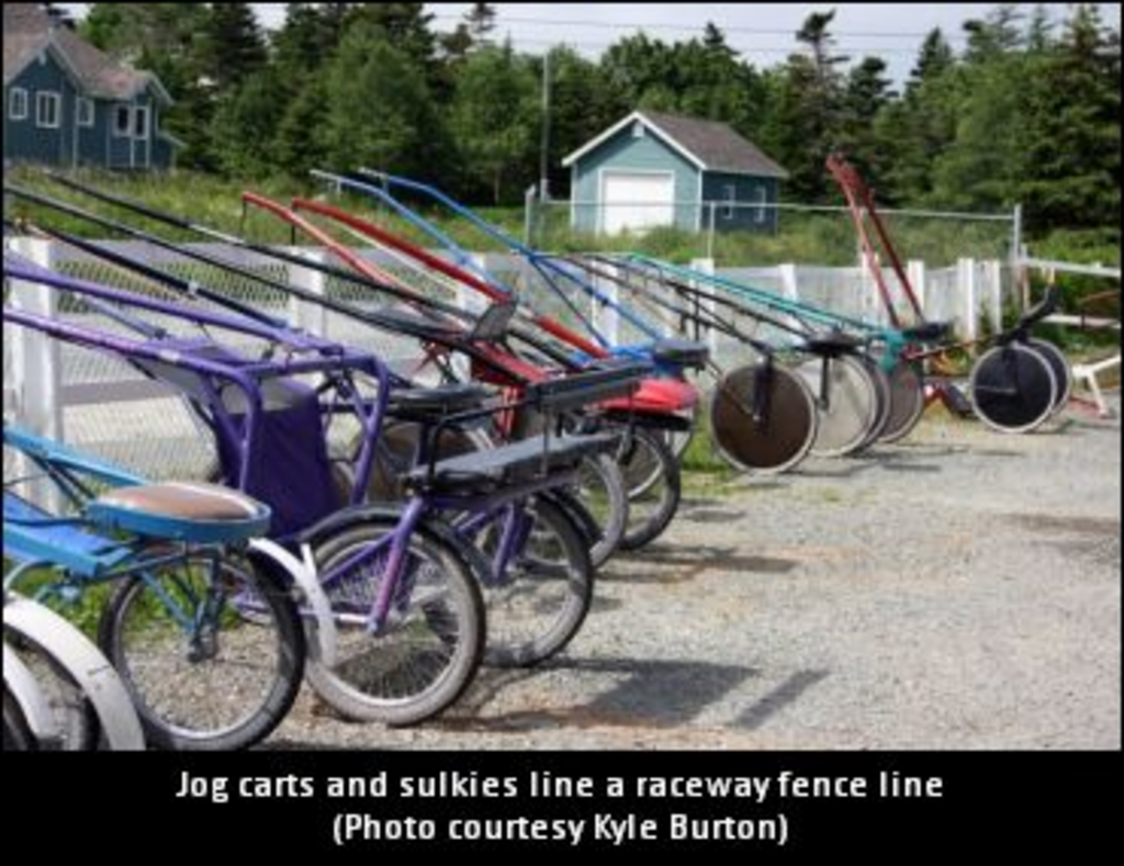 JogCarts-Sulkies-01.jpg