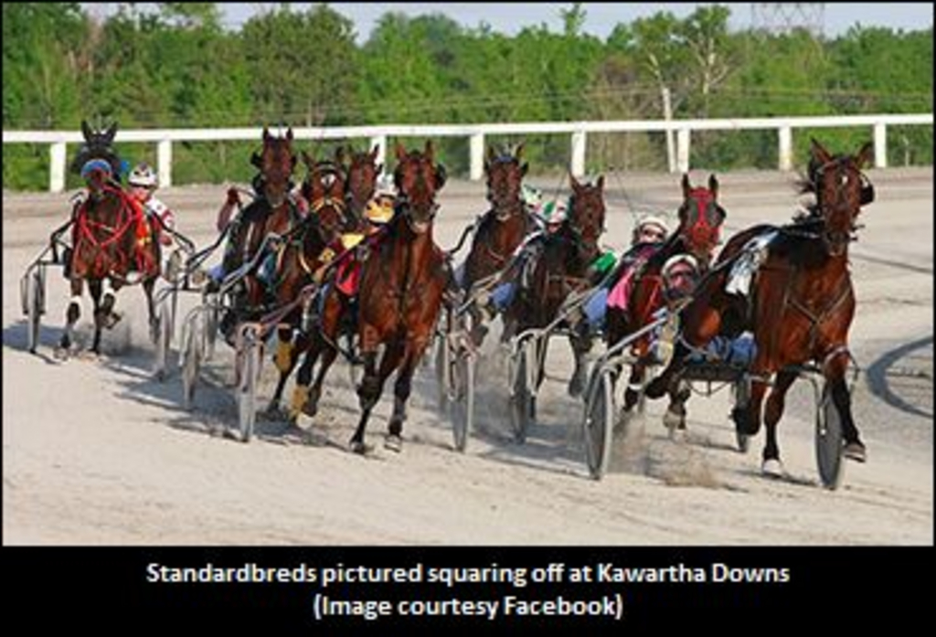 Kawartha Downs-370-000000.jpg