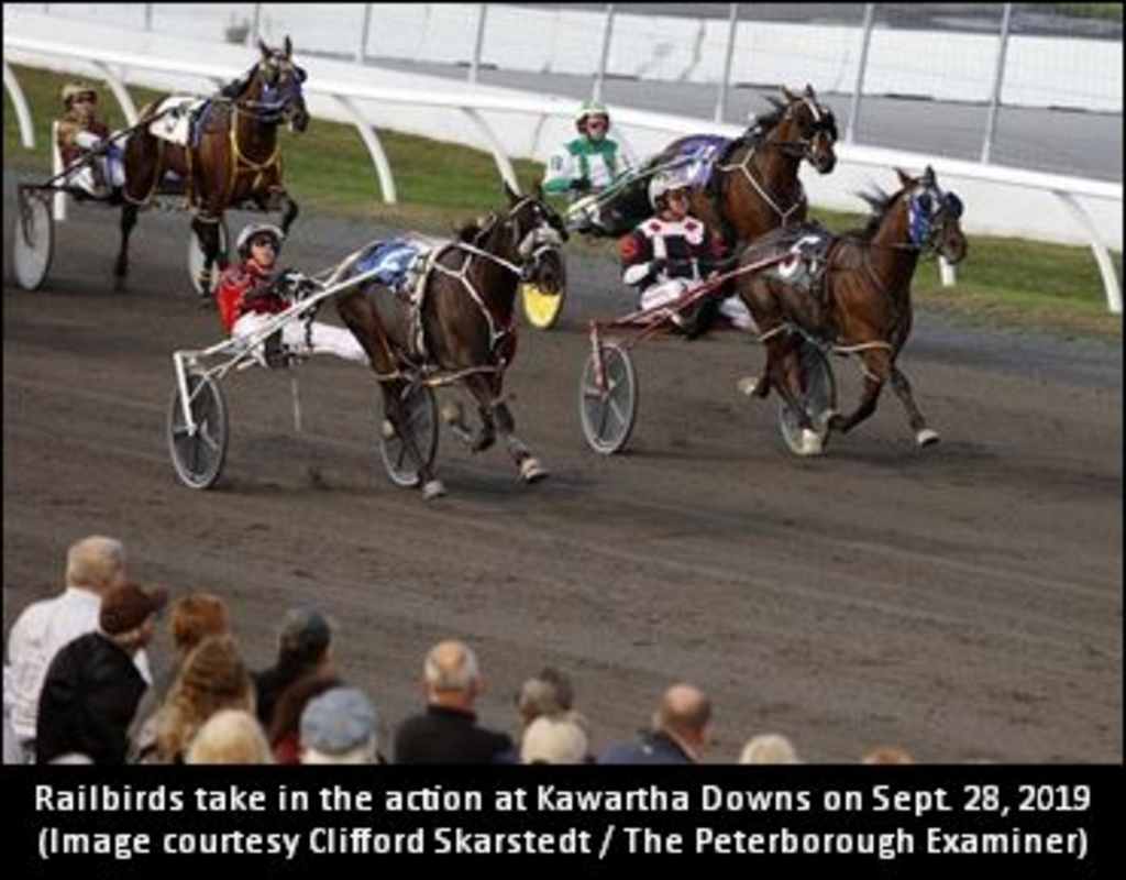 KawarthaDowns-370--------------.jpg