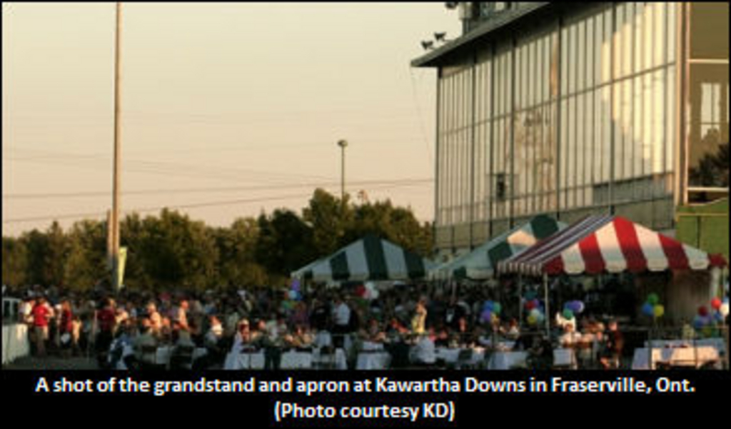 KawarthaDownsGrandstand.jpg