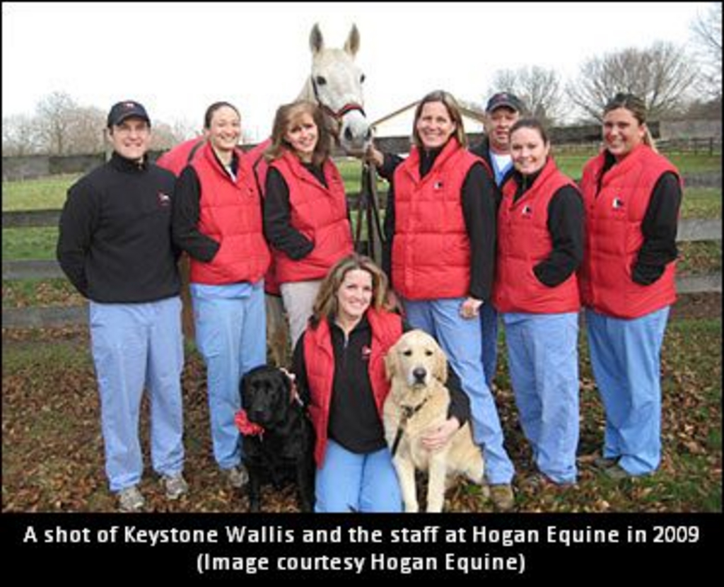 KeystoneWallis01.jpg