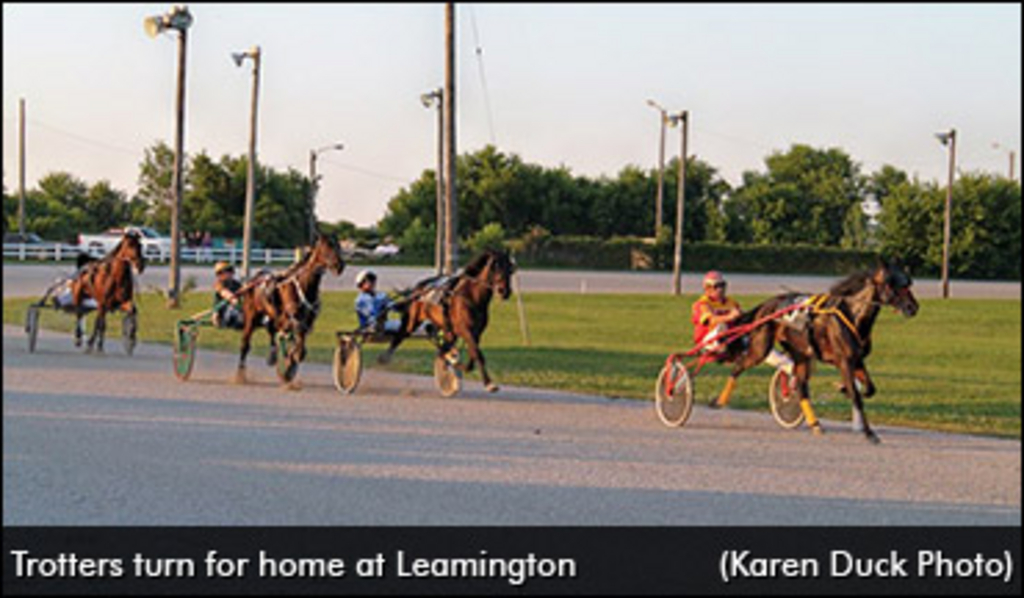 Leamington-Raceway-03.jpg