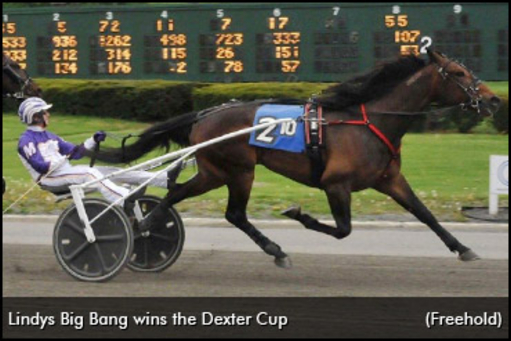 Lindys Big Bang Banks Dexter Cup