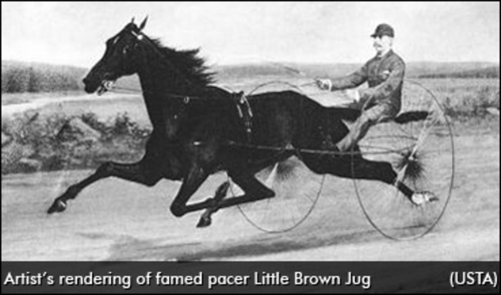 Little-Brown-Jug-horse-370.jpg