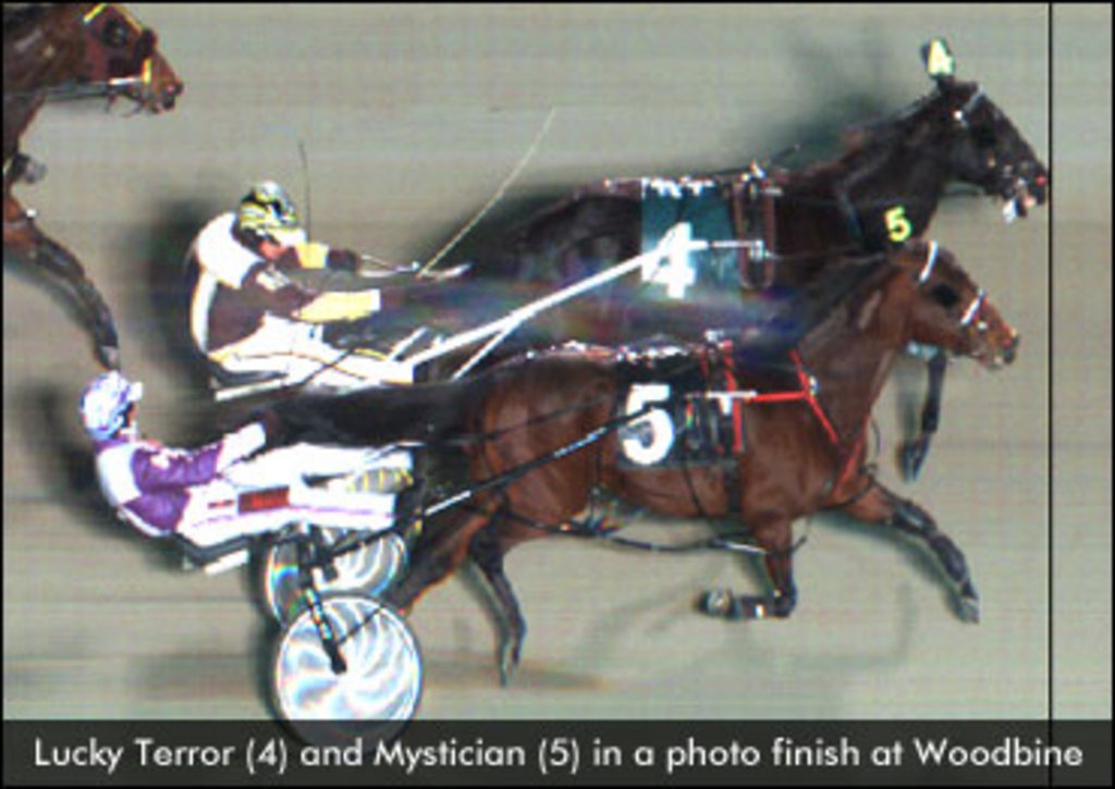 LuckyTerror-PhotoFinish-012514-ed.jpg