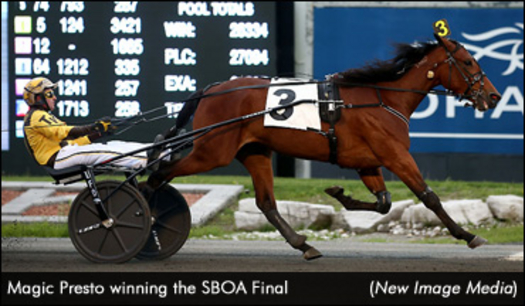 Stuck In My Spanks  Standardbred Canada