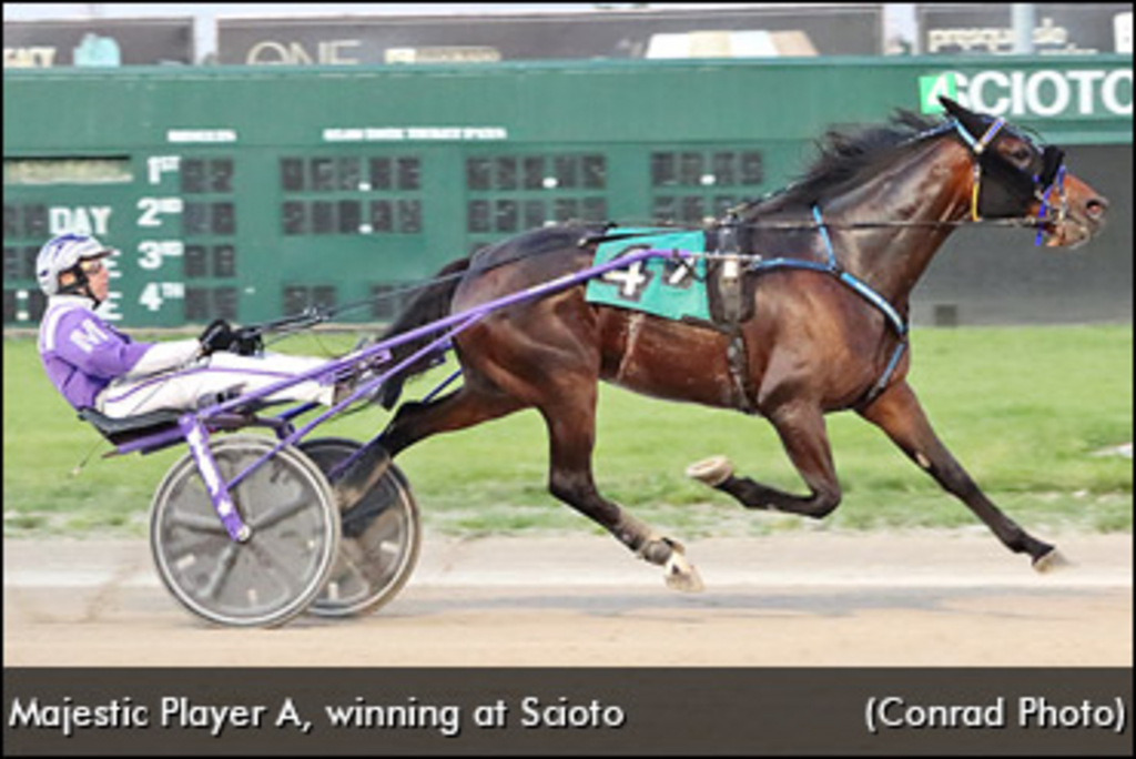 Majestic-Player-A-Scioto-370px.jpg