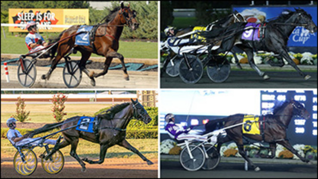 Meadowlands-Qualifiers-July11-370px.jpg