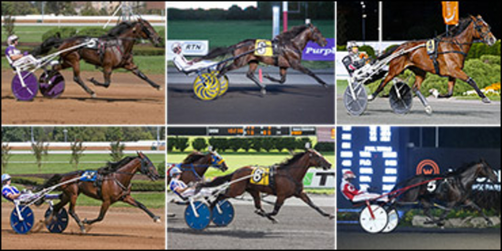 Meadowlands-Qualifiers-May11-370x185px.jpg
