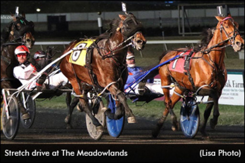 Meadowlands-Racing-370px.jpg