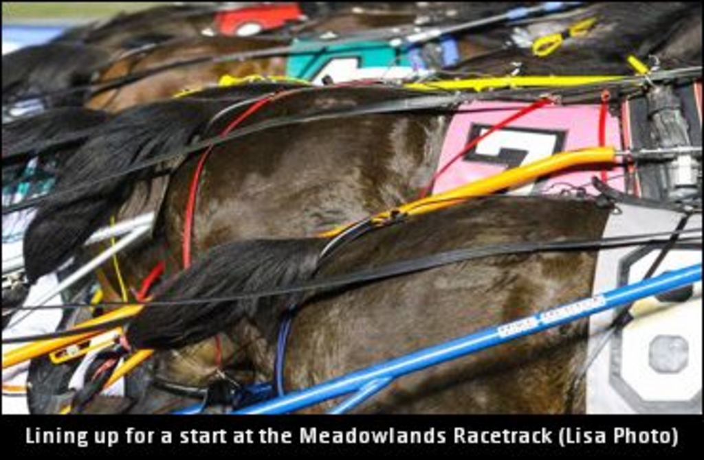 MeadowlandsRacetrack-26.jpg